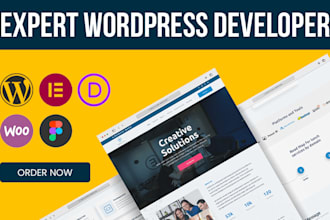 do responsive wordpress website or landing page