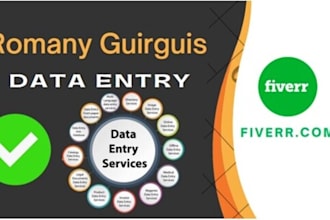 do data entry excel, word and google sheets