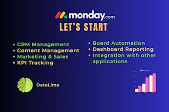 be your monday project consultant