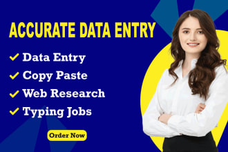 do accurate data entry, copy paste, excel data entry and  web research jobs