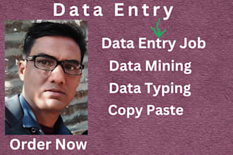 do data entry jobs, data mining, data scraping, web research