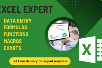 do microsoft excel data entry, format and fix excel document