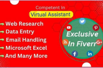be your executive virtual assistant for any general work