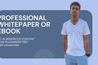 write professional white paper or ebook for you