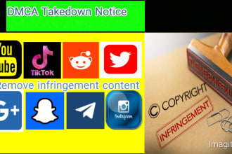 takedown harassing defaming report from youtube,tiktok,instagram,reddit, by dmca