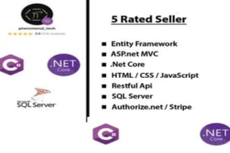 django, python, react js websites as a full stack developer