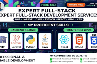 be your front end website react developer