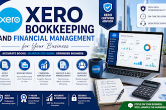 do xero bookkeeping, setup, cleanup and financial management for your business