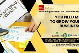 do xero bookkeeping, setup, cleanup and financial management for your business