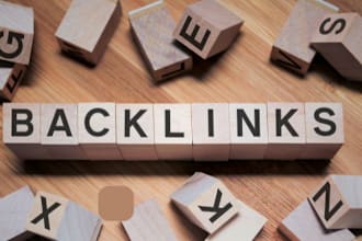 niche edits backlinks, expert service