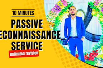 provide passive reconnaissance service