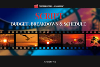 do a script breakdown, schedule and budget for your film