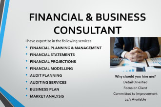 do financial consulting and provide audit services