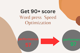 do wordpress speed optimization and increase google pagespeed insights