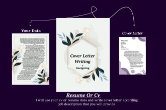 do an executive CV resume or job cover letter, CV resume design