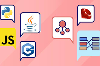 teach you how to do programming