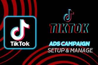 run tiktok ads, create tik tok ads campaign and tik tok manager