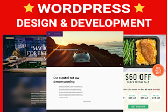 build professional word press website and web design