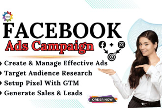 build a facebook paid advertising plan for your company and manage fb ads