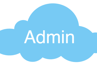 provide expert salesforce administration services