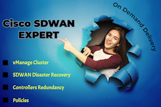 deploy cisco sdwan controllers onprem, vmanage cluster DR