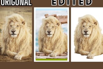 do picture bg removal and bg change before 24 hours