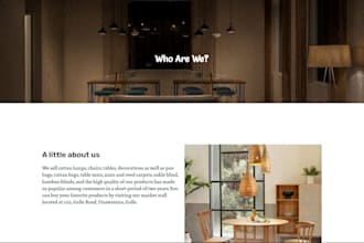 do professional web development