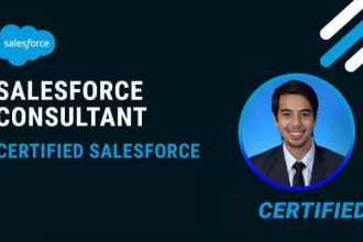 assist you with salesforce lightning development