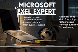 do exel assigntment with perfection for you