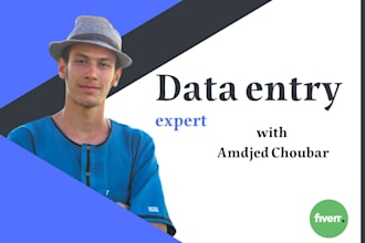 provide fast and reliable data entry services