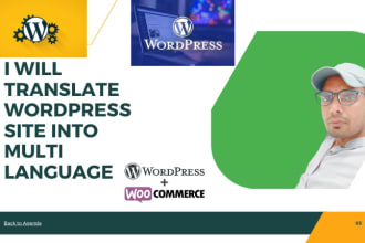 translate wordpress website into multilanguage in 24 hours