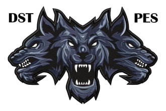 embroidery digitizing 3d puff, convert to dst, pes, in 1hr