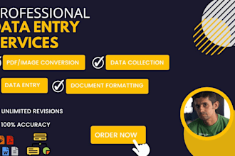 do freelance data entry, data collection