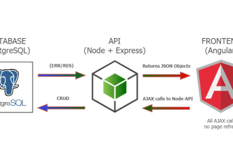 professional angular node and postgresql website development