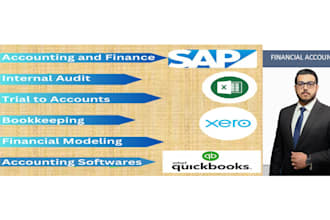 do bookkeeping and internal audit assignments sap and qb