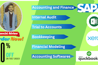 do bookkeeping and internal audit assignments sap and qb