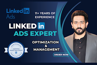 setup, manage, and optimize highly targeted linkedin ads campaigns