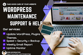 provide wordpress website maintenance and support