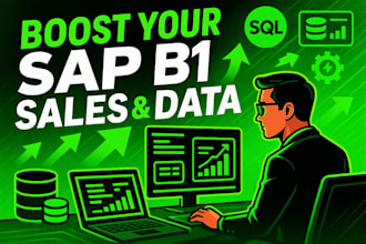 optimize sap b1 sales, write sql, crystal reports and manage dtw