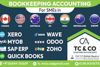 do accounting, bookkeeping for USA, canada, UK, australia in xero