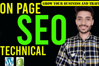 do onpage optimization,technical on page seo of wordpress with site audit report