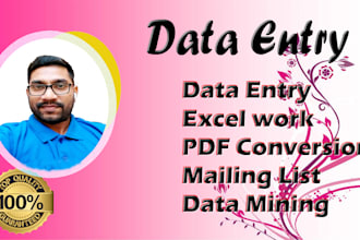 do expert data entry work