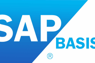 sap basis administrator and sap s4 hana implementation