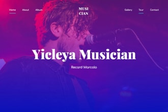 do your musician website for artist, dj, music producer