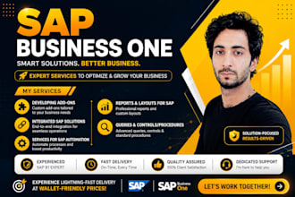develop custom sap b1 addons, apis and integrations
