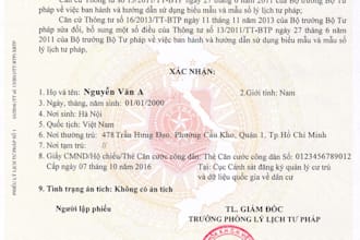 help you to get  vietnam criminal record, police check