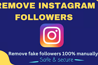 safely remove instagram fake bot ghost followers