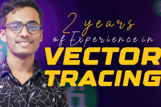 convert to vector, logo to vector, diagrams vector, car vector for you
