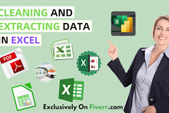 do excel data cleaning, data merge and all data entry etc