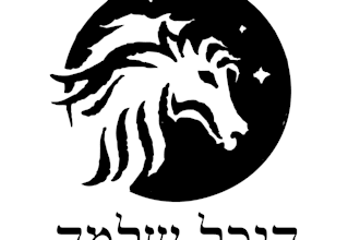 design a modern logo in hebrew and english vector
